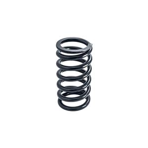 Buy Front Spring - suitable for BN4 - BJ8 Online