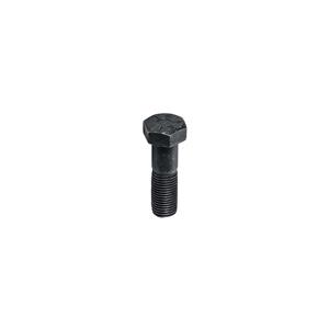 Buy BOLT - shock absorber mounting - USE RAX221 Online