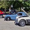 Conclave Day 4 - Austin Healey  and Bugeye Sprite line up at the Popular Car Sho