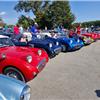 Conclave Day 3 - Line of Austin Healey Bugeye Sprites at Elkhart Lake.