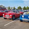 Conclave Day 1 - Austin Healey and Sprite parked at the Blue Harbor conference c