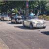 Conclave Day 4 -  Line of Austin Healeys at the Popular Car Show at Elkhart Lake