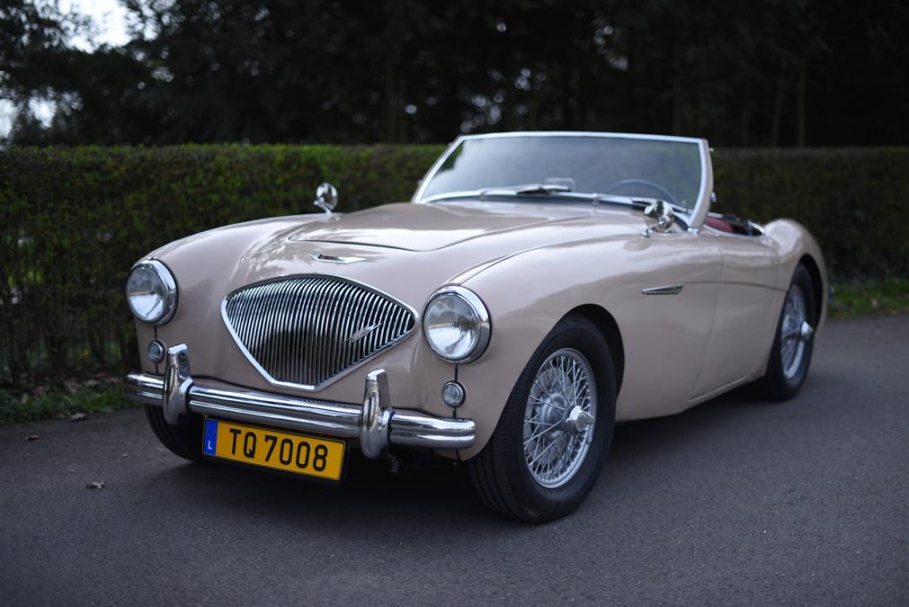 <h1>For Sale - 1954 Big Healey, 100, BN1</h1>