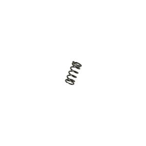 Buy Spring - stop adjusting screws - rear carb - USE FCM1126 Online