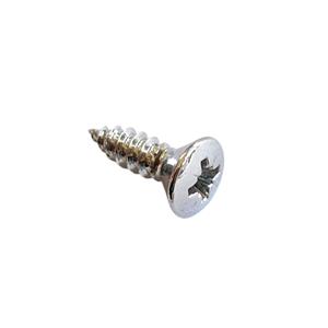 Buy Raised Countersunk Pozi Screw No.10 x 5/8 - Chrome Online