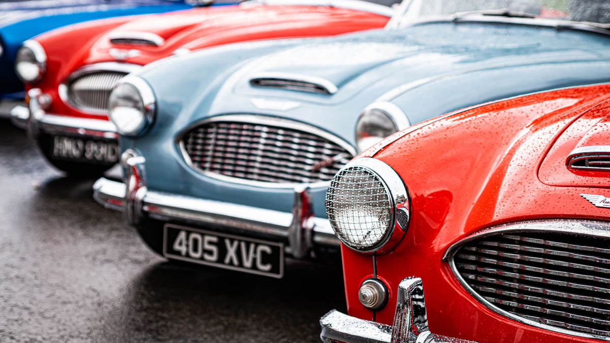 Row of Austin Healey cars