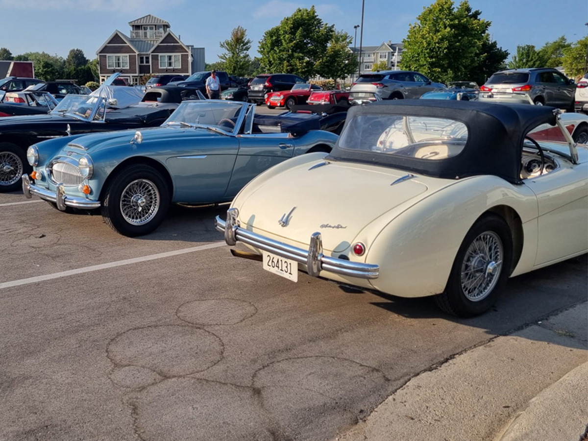 Austin Healeys parked at Conclave 24 event in the US