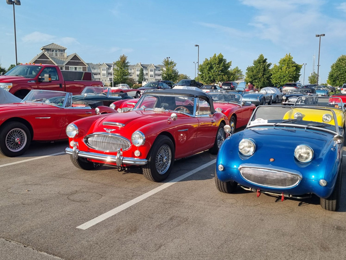 Conclave 24 - Austin Healey line-up at the Blue Harbor Resort