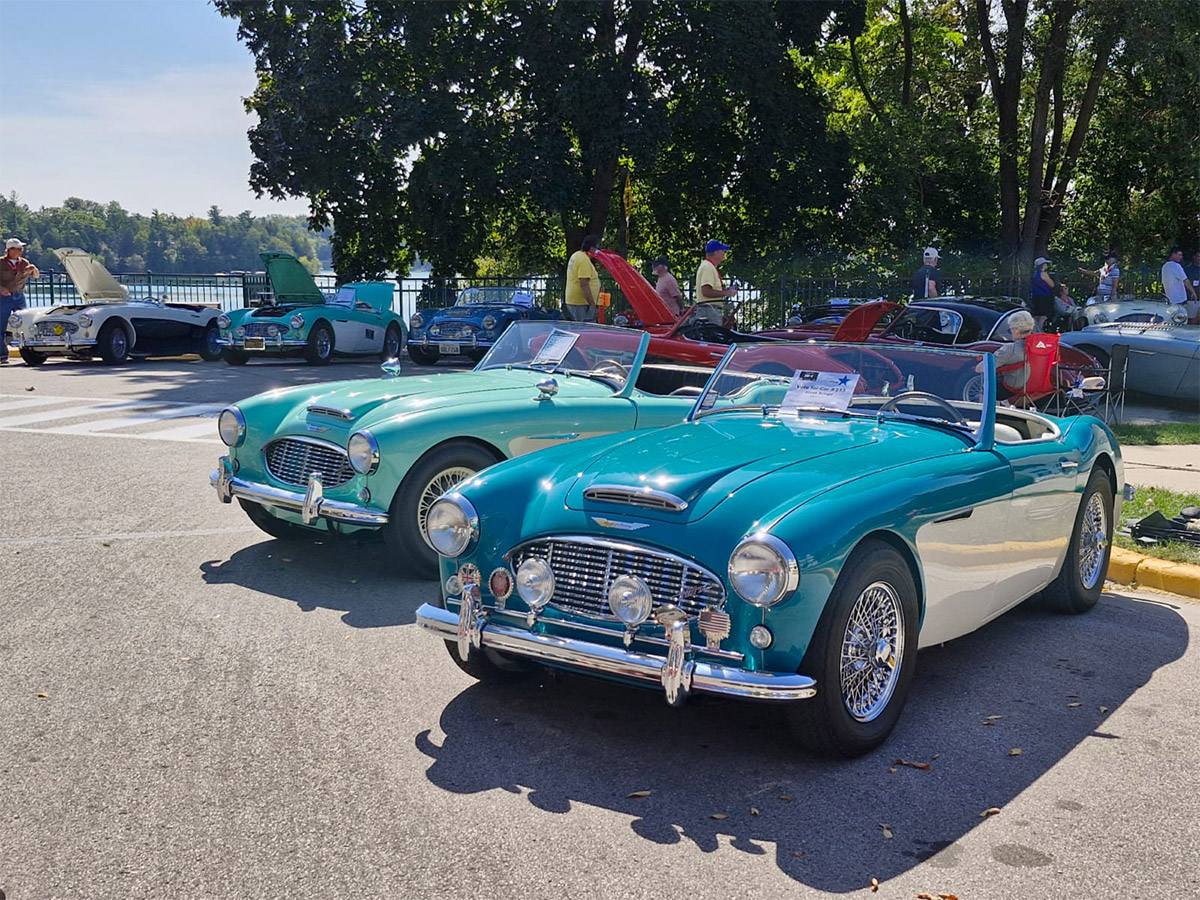 Conclave 24 - Popular Car Show Day - Austin Healeys parked on display