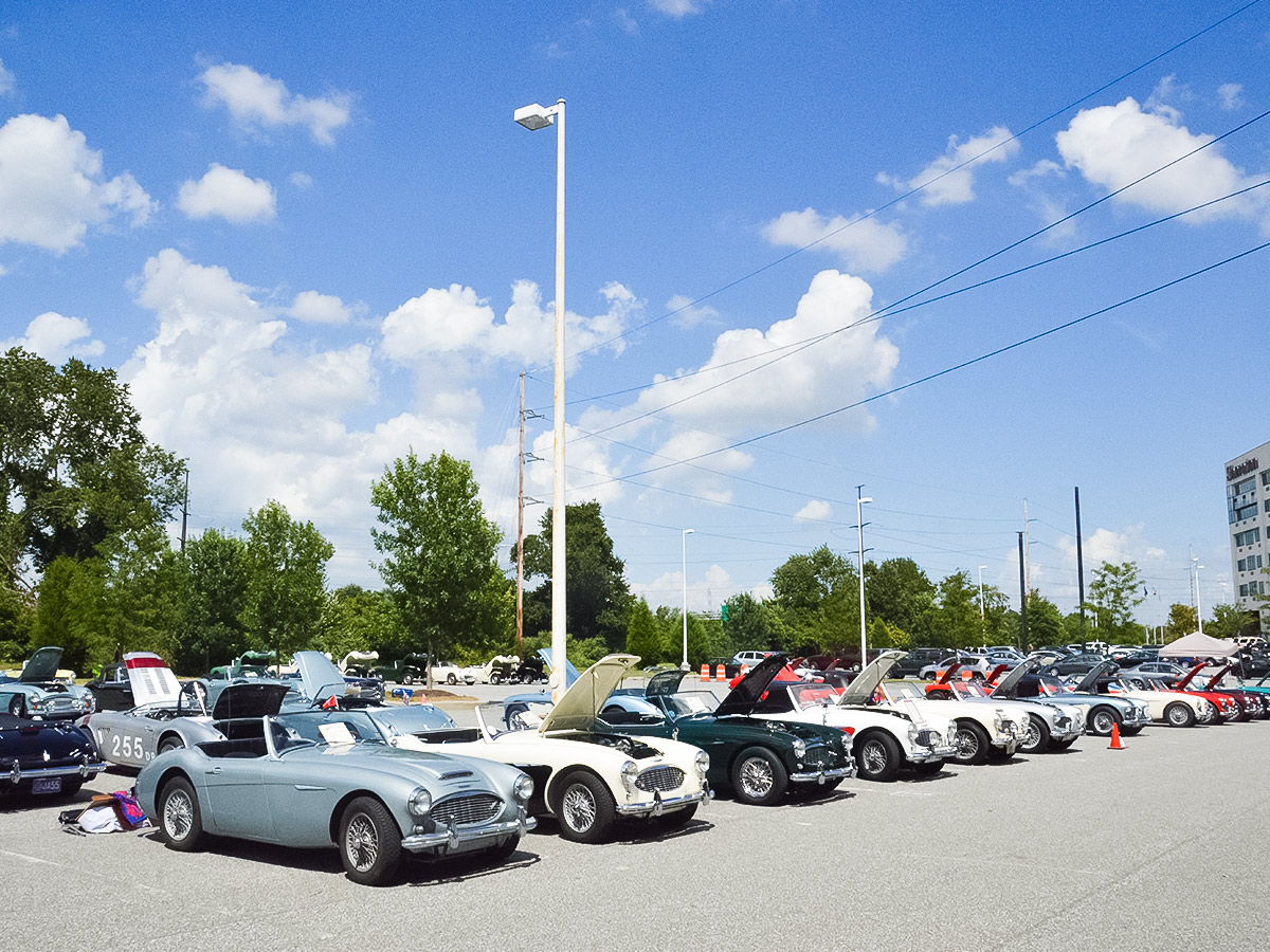 Large collection of Austin Healey's parked on display at an Encounter event in the USA