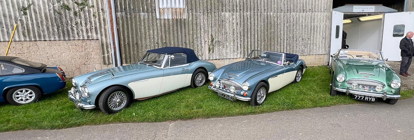 Line of Austin Healeys at Rawles Motorsport Open Day 2024